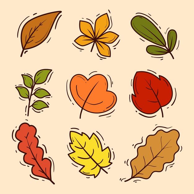 different colored leaves are arranged in the shape of heart shaped shapes on a beige background