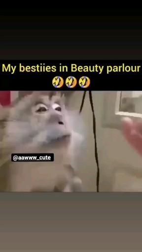 a white cat with its mouth open and captioning that it's besties in beauty parlou