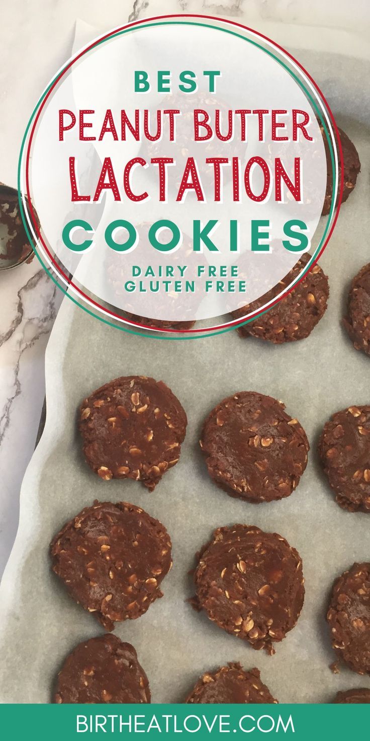 Peanut Butter Lactation Cookies, Easy Lactation Cookies, Oatmeal Lactation Cookies, Boosting Milk Supply, Dairy Free Lactation Cookies, Lactation Cookie Recipe, Nursing Foods, Milk Supply Foods, Healthy Breastfeeding Snacks