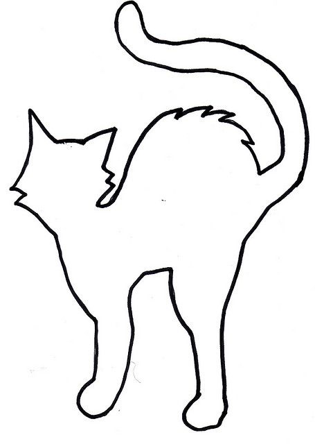 a black and white drawing of a cat with its tail curled in the shape of a heart