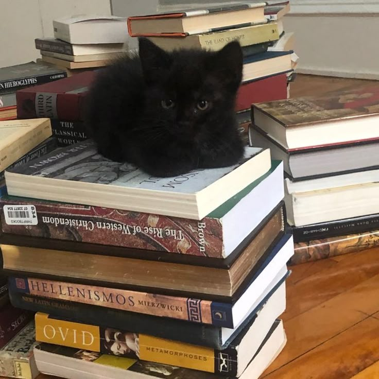 a black cat sitting on top of a pile of books