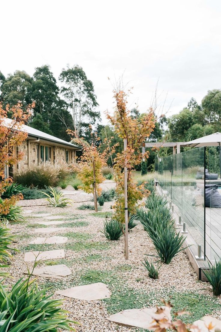 an outdoor garden with gravel and plants in the foreground, surrounded by wooden decking