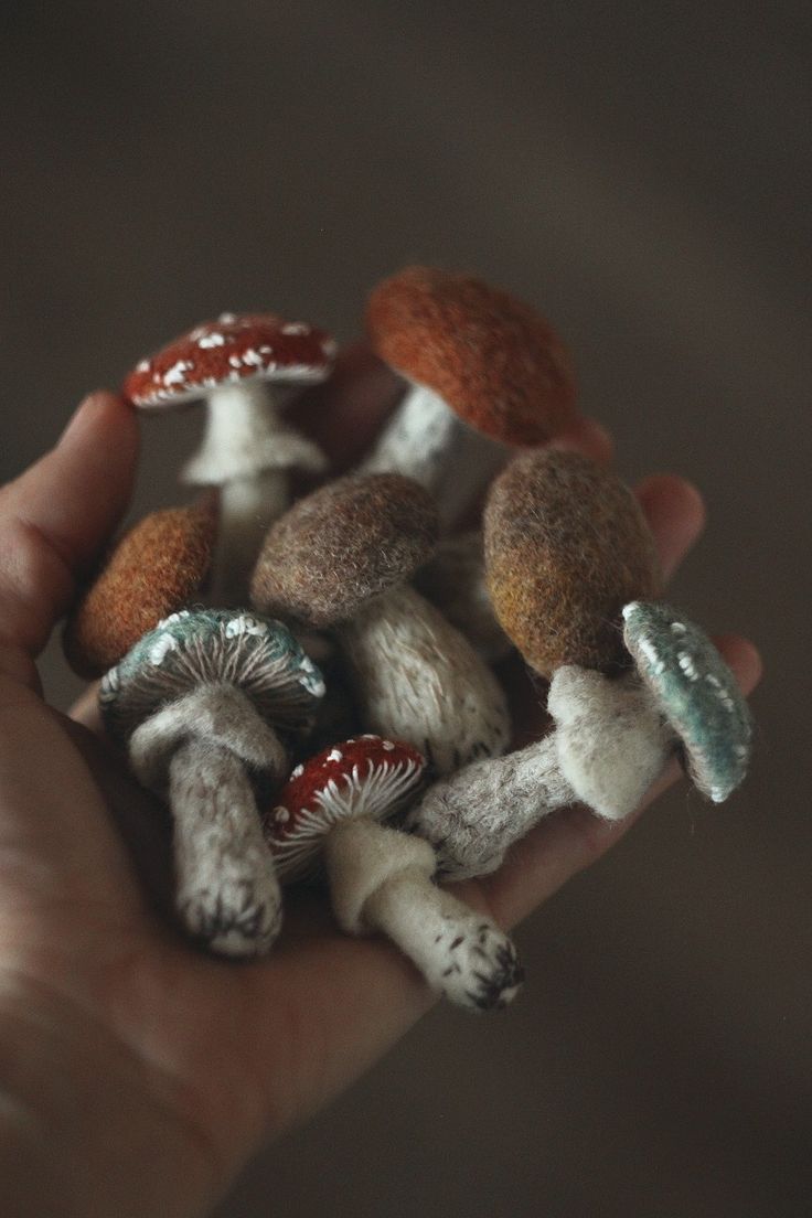 small mushrooms are in the palm of someone's hand