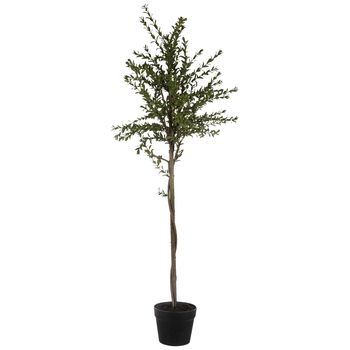 a small tree in a black pot on a white background