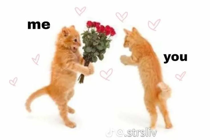 two kittens are playing with each other and one is holding a bouquet of flowers