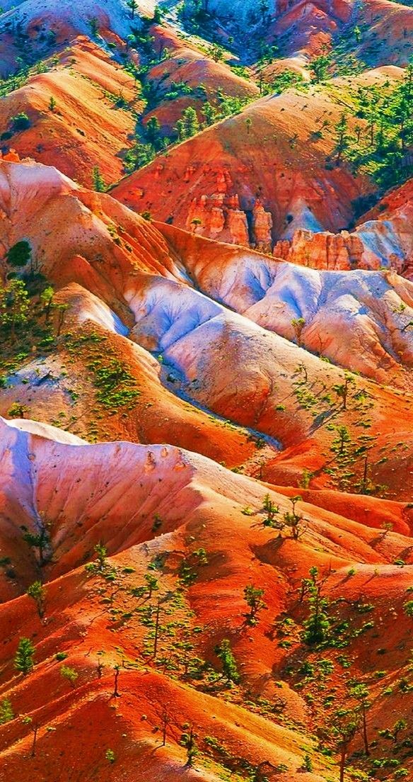 an aerial view of colorful hills and trees