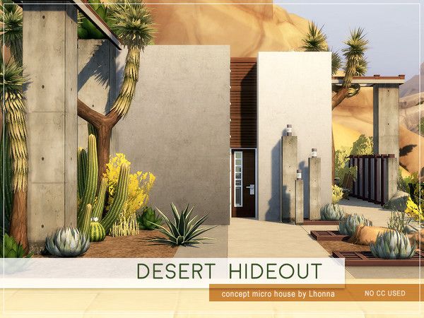 desert hideout with cacti and succulents