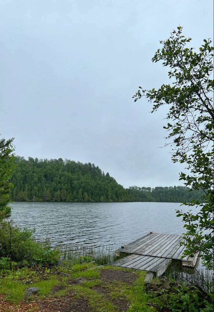 a wooden dock sitting on the side of a lake next to a lush green forest