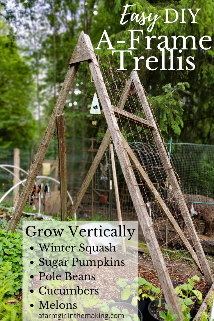 an image of a wooden trellis in the garden with text overlay that reads easy diy aframe trelliss