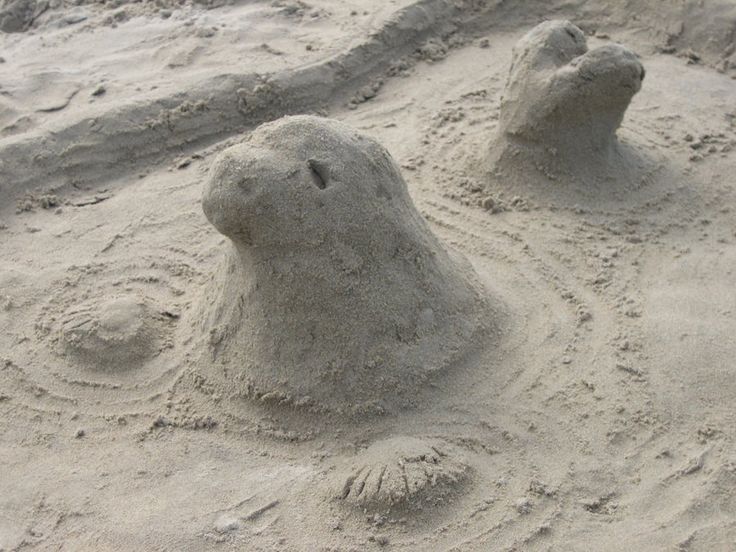 sand sculptures made to look like bears on the beach, with one bear's head sticking out of the sand