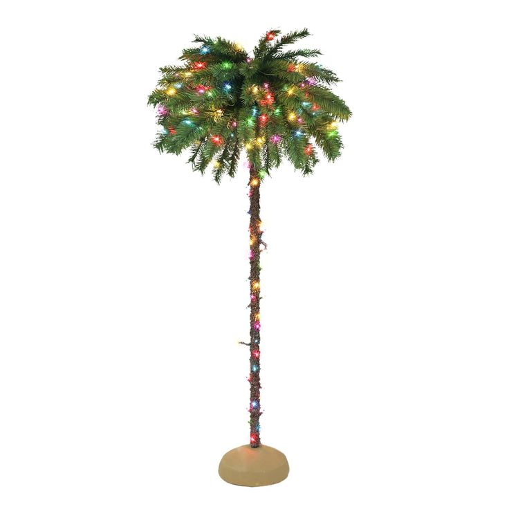 a tall palm tree with lights on it's trunk is shown in front of a white background