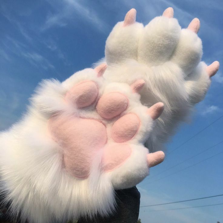 Fox Paws, Fursuit Paws, Fursuit Tutorial, Claw Gloves, Paw Gloves, White Fur, Cat Paws, Kawaii Clothes, Halloween Cosplay