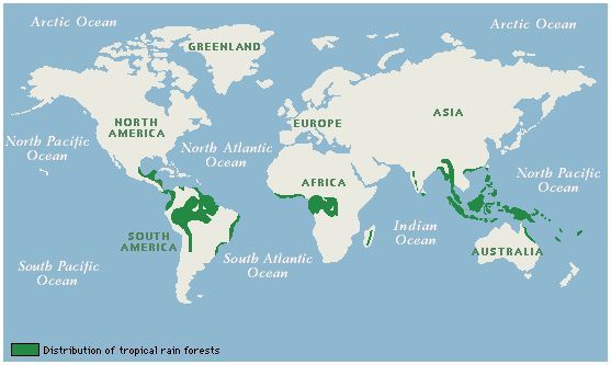 a world map with all the countries labeled in green