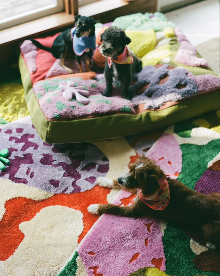 two small dogs sitting on top of a dog bed