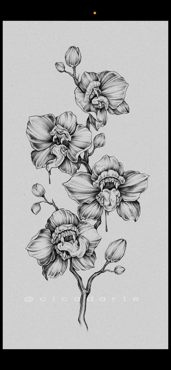 a drawing of some flowers on a white paper with the words,'orchids '