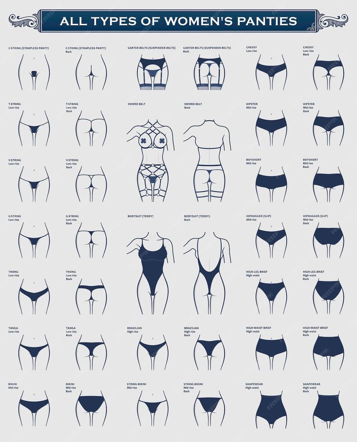 Premium Vector | Types women panties sexy set of lingerie design Night Bike Ride, Frank Cho, Cute Funny Pics, Bra Hacks, Fashion Terms, Fashion Vocabulary, Camisa Social, Types Of Women, Evening Dresses Elegant