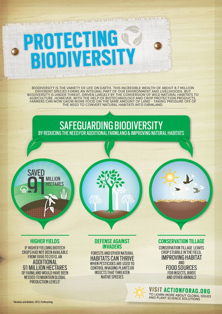 the benefits of protecting biodiversity infographical poster on wood paneling