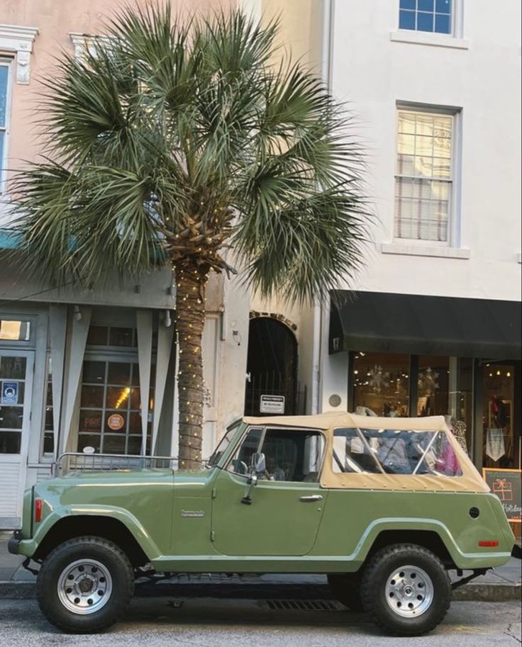 a green jeep parked in front of a palm tree