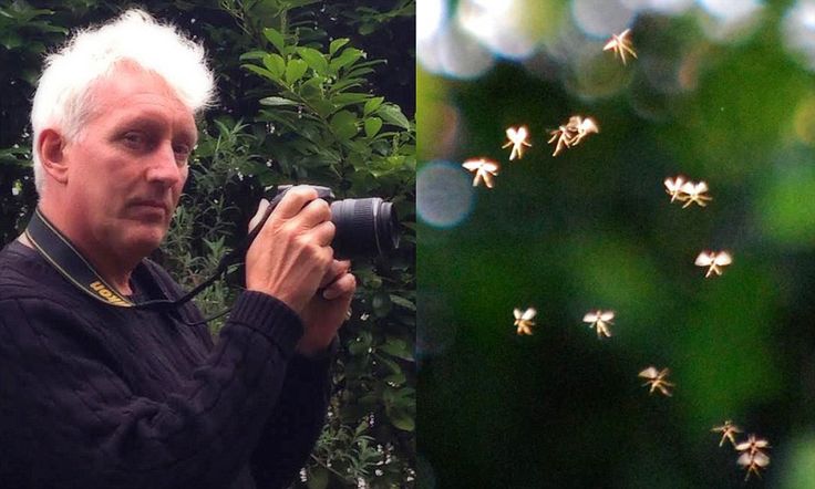 a man with white hair holding a camera in front of green plants and trees behind him