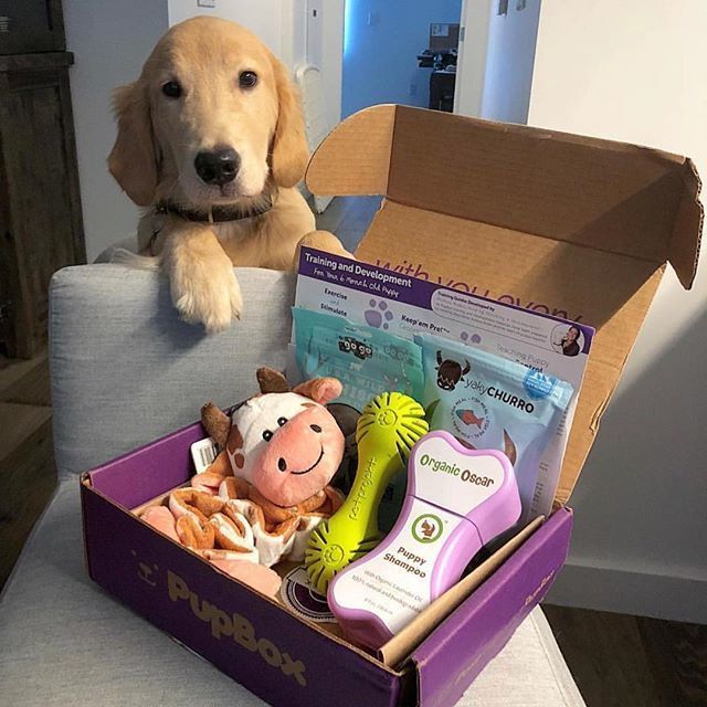 a dog sitting on a couch next to a box with baby items in it