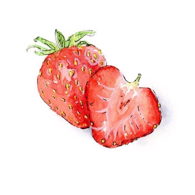 two strawberries are shown in this watercolor and ink painting style, on white paper