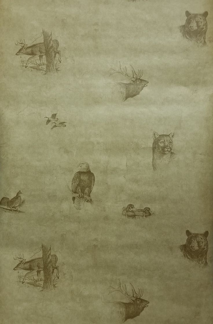 an old paper with animals and birds drawn on it