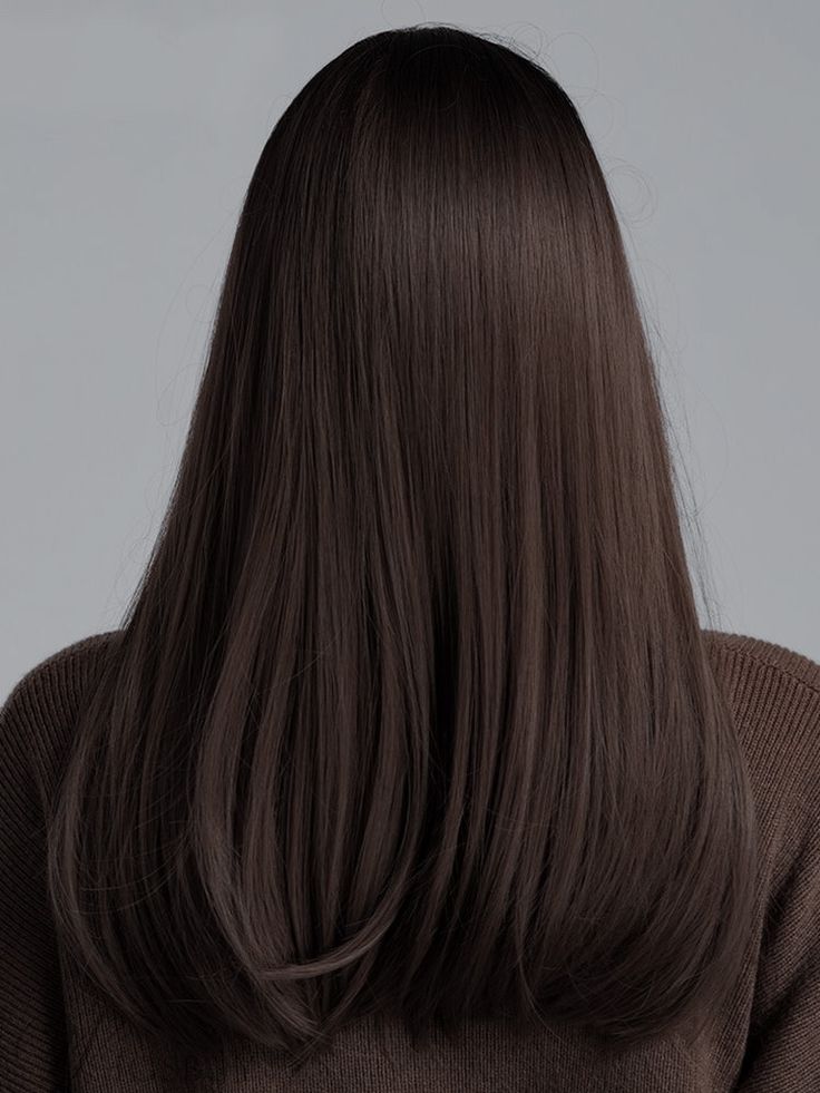 Dark Brunette Hair, Brown Hair Looks, Brown Hair Inspo, Hair Stylies, Haircuts Straight Hair, Long Straight Hair, Hair Inspiration Color, Hair Inspo Color, Dark Brown Hair