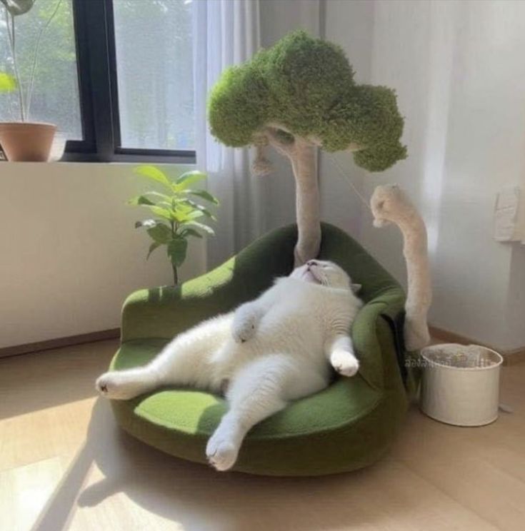 a white cat laying on top of a green chair next to a tree and potted plant