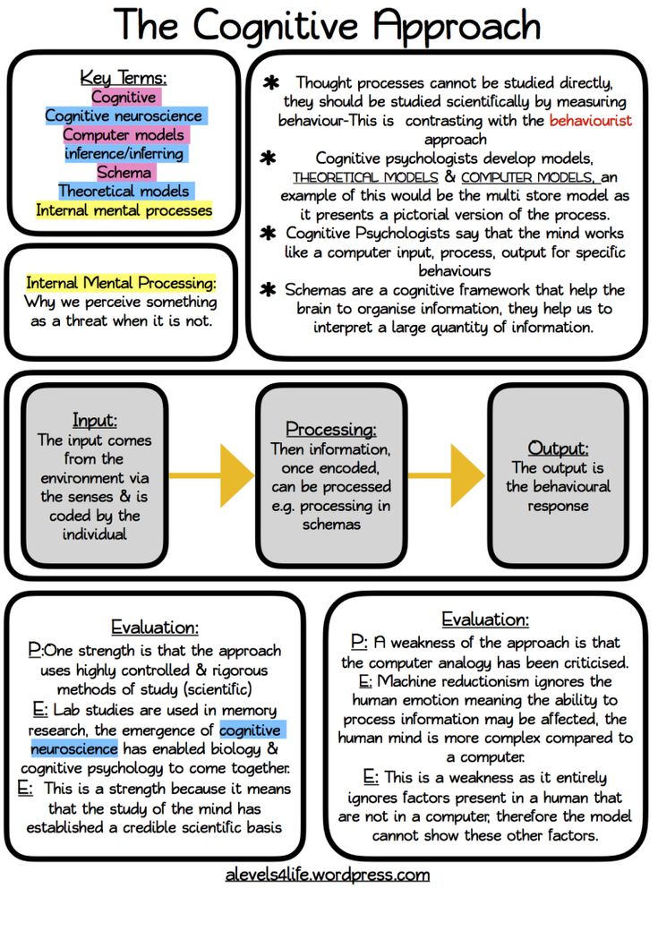 the creative approach to writing an informative text is shown in this graphic above it