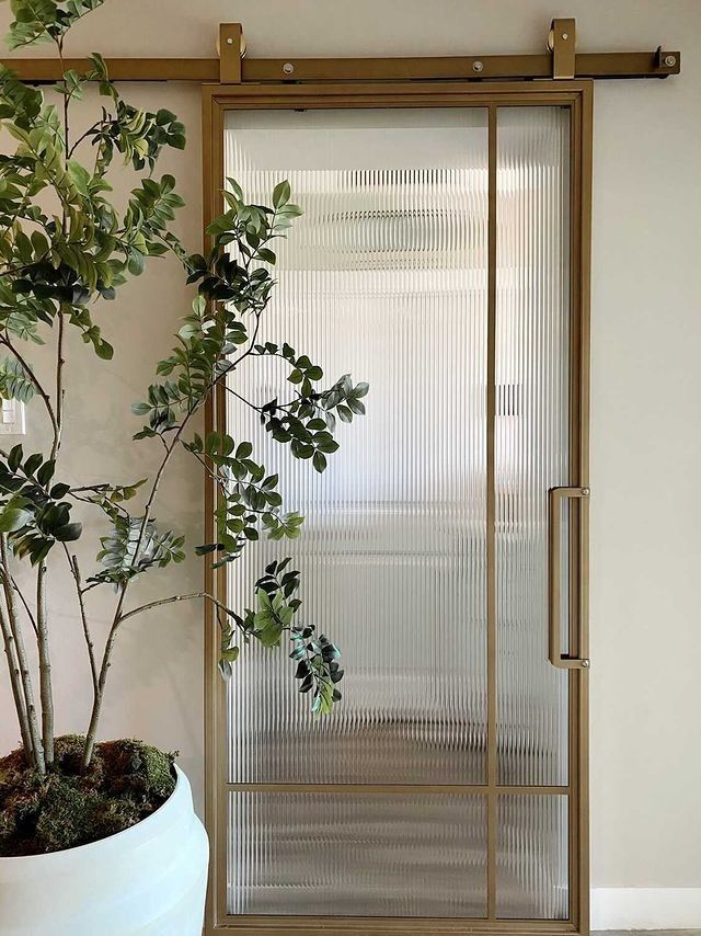 a potted plant sitting next to a glass door in a white room with wood trimming