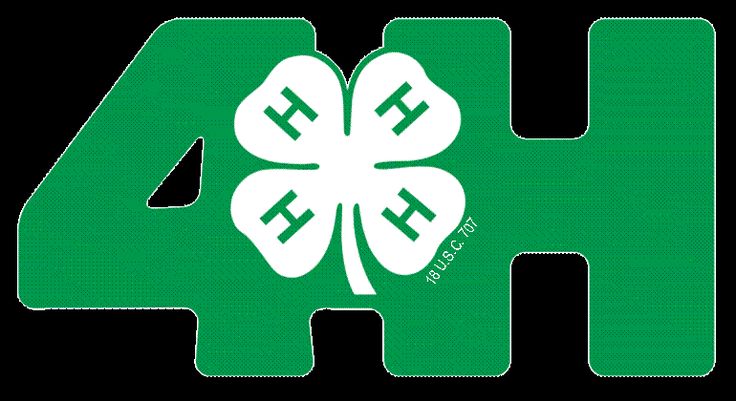 four leaf clover with the letter h on it