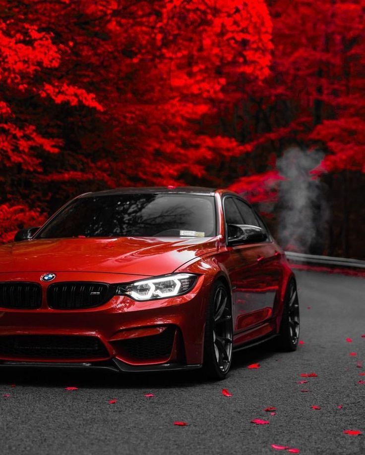 #BMW Bmw Red, Luxury Cars Bmw, Bmw Sports Car, Aventador Lamborghini, Carros Bmw, Serie Bmw, Dream Cars Bmw, Bmw Sport, Bmw Classic Cars