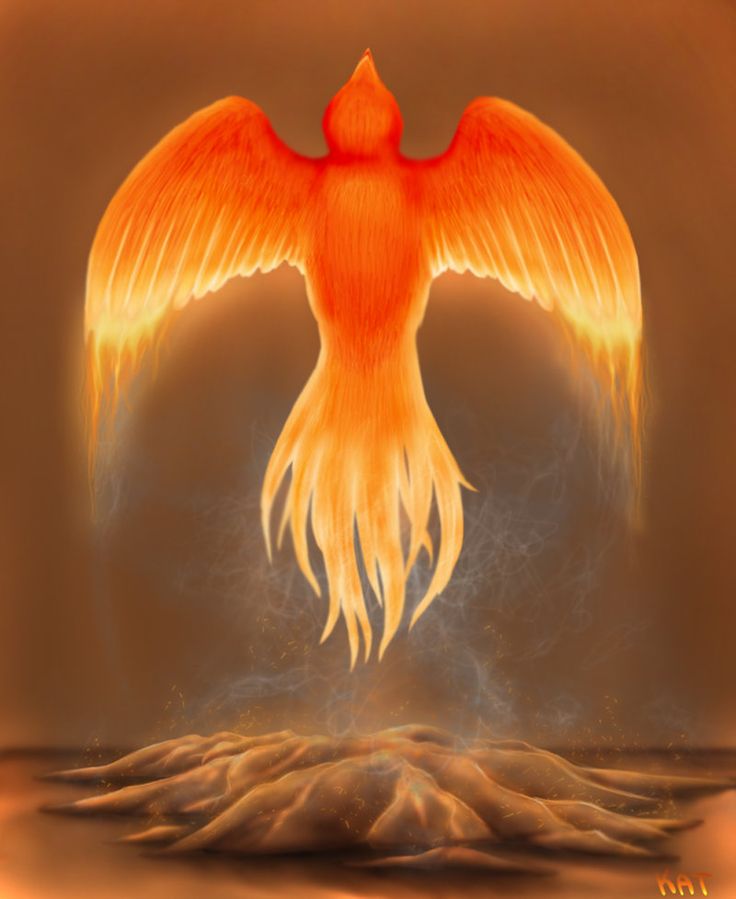 an orange bird with its wings spread out in the air, on top of a desert area