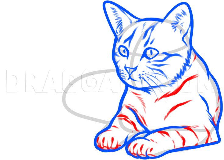 a drawing of a cat with blue and red stripes on it's chest, sitting down