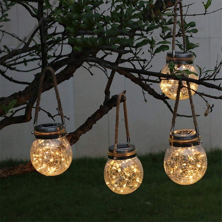 four mason jar lights hanging from a tree branch