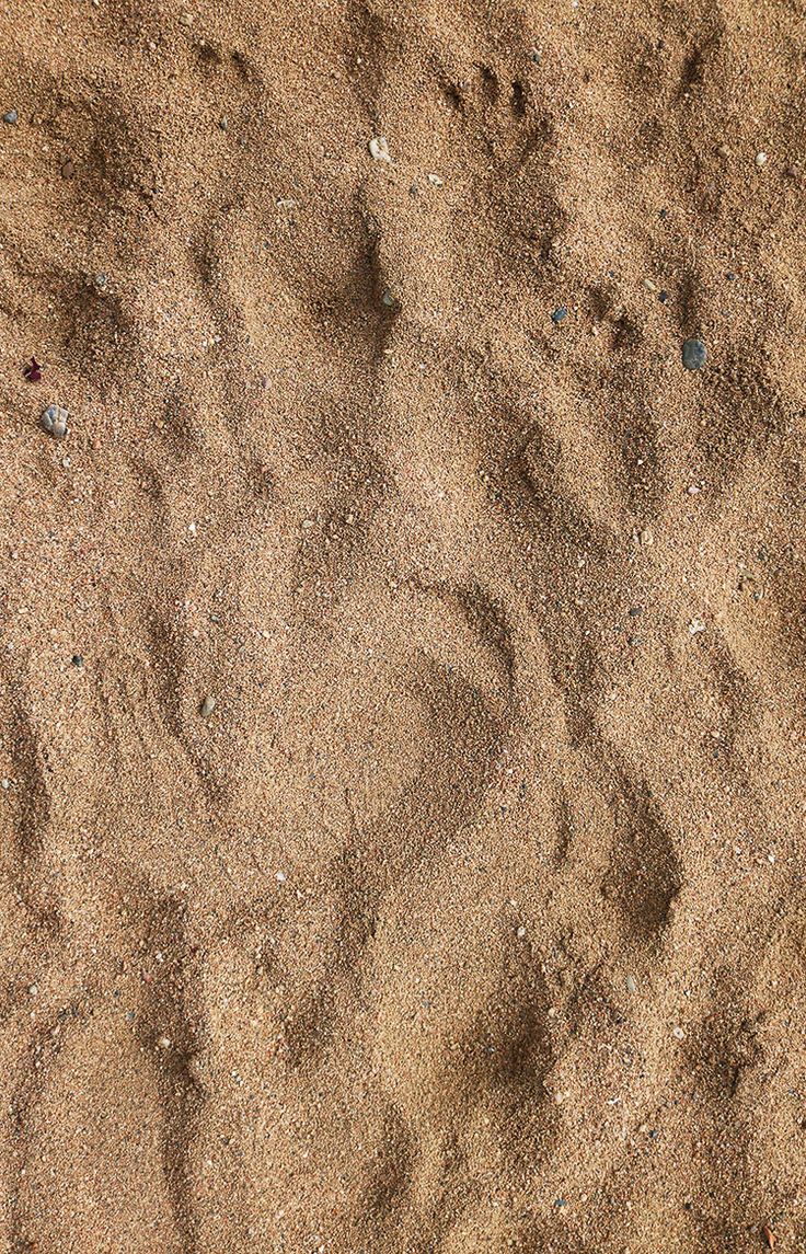 an animal's footprints are seen in the sand