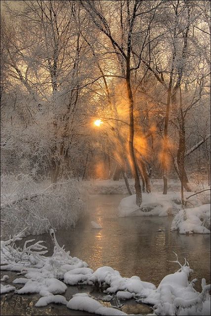 an image of the sun setting over a river with snow and trees in the background