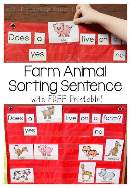 farm animal sorting sentence with free printables for kids to practice their spelling skills