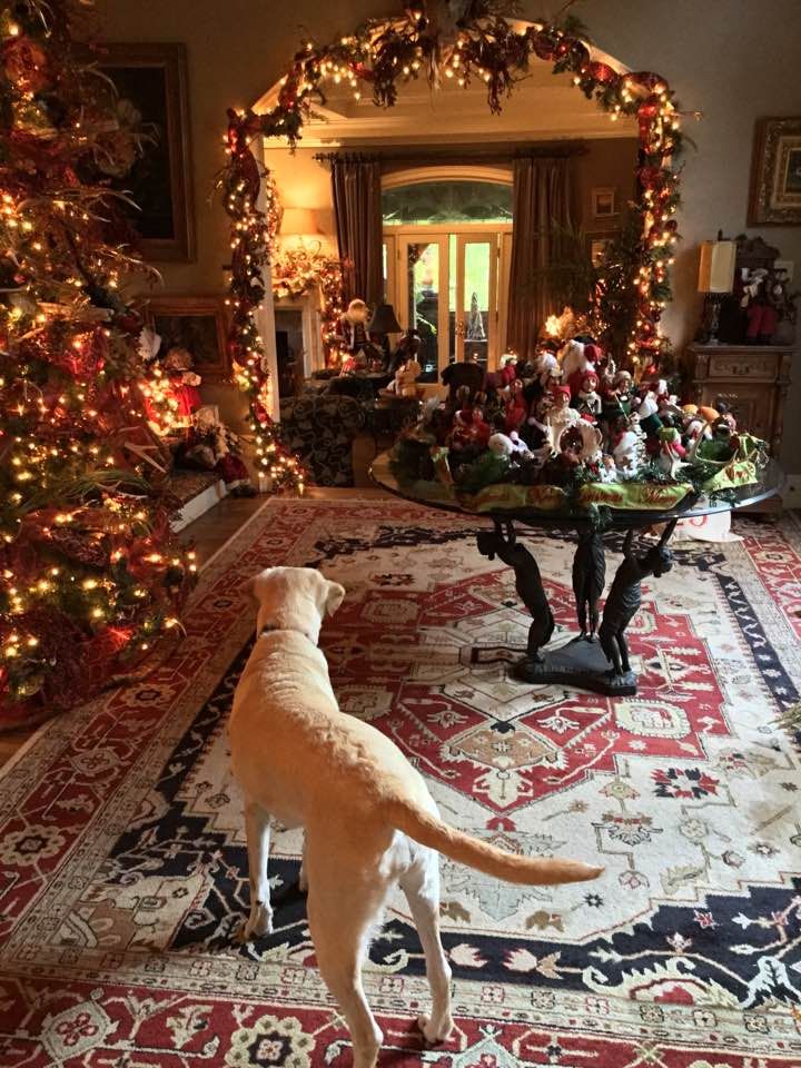 a dog is standing in the middle of a living room with christmas decorations on the walls