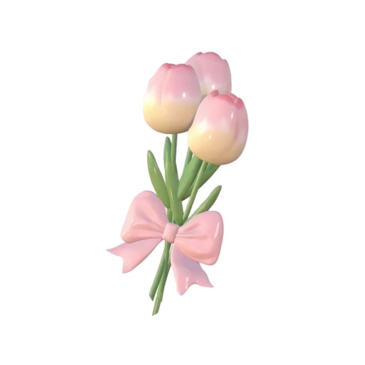 three pink tulips with a bow tied around them on a white background,