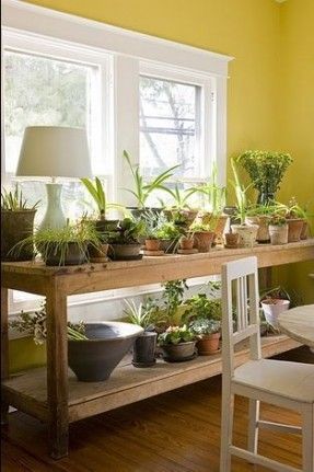 a room filled with lots of plants on top of a wooden table next to a window