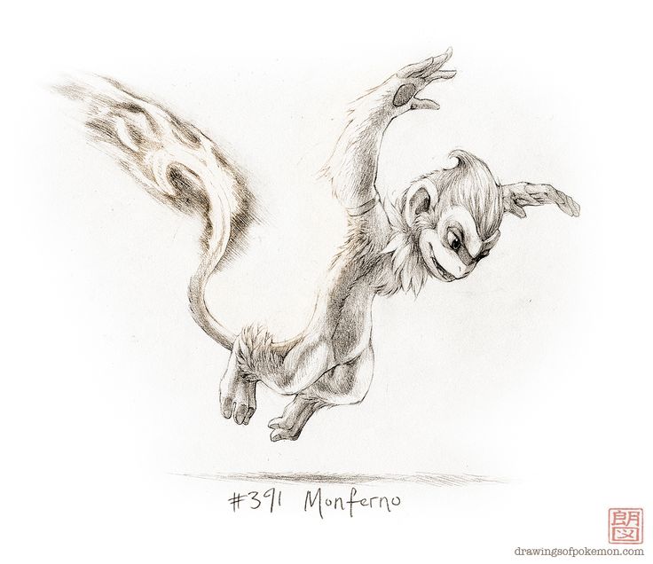 a pencil drawing of a monkey jumping in the air