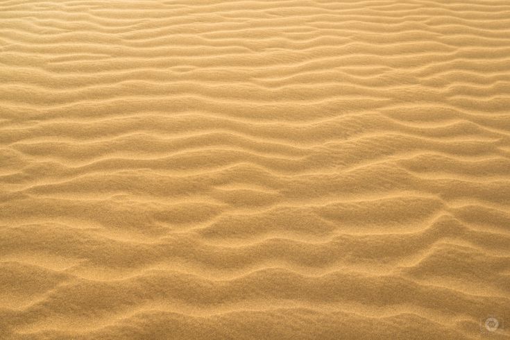 an image of sand dunes in the middle of the day with sun shining through them