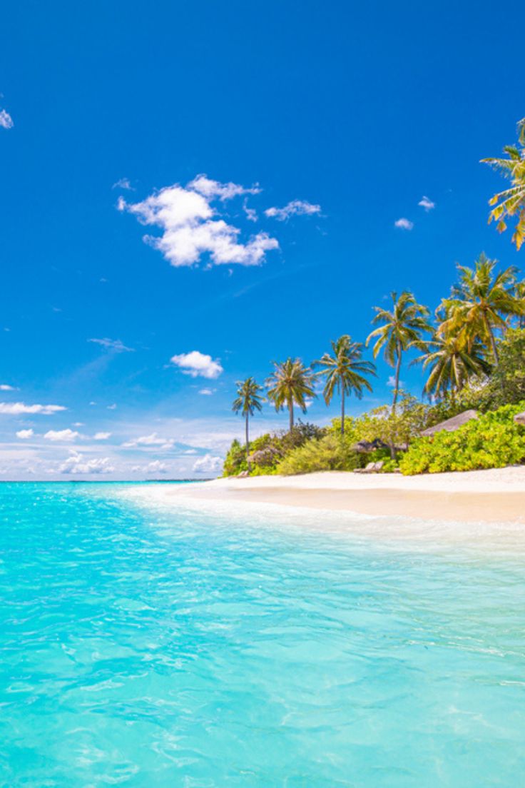 an island with palm trees and clear blue water