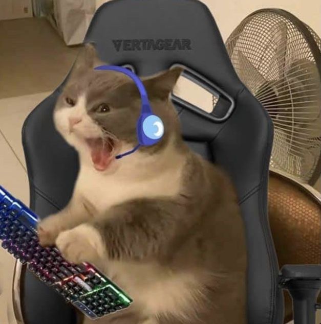 a cat with headphones sitting on top of a computer chair holding a keyboard in it's paws