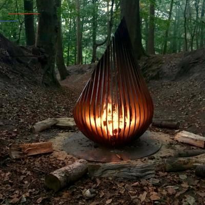 a light bulb sitting on top of a pile of wood in the woods next to trees