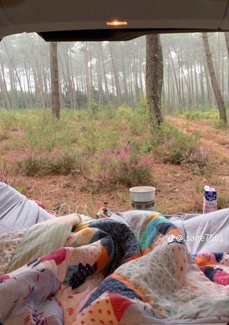 an open car door with blankets and cups on the bed in front of it, next to a wooded area