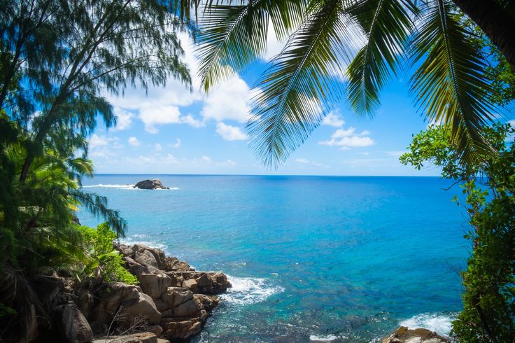 an ocean view with rocks and palm trees in the foreground, looking out to sea