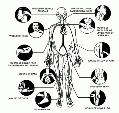 the human body with all its major functions and their corresponding parts labeled in black and white