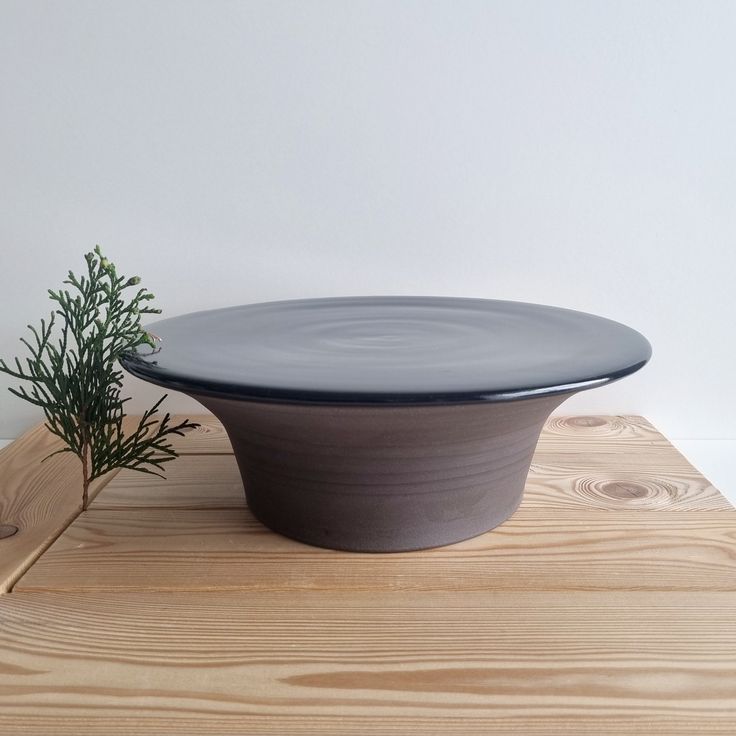 a black plate sitting on top of a wooden table next to a small green plant